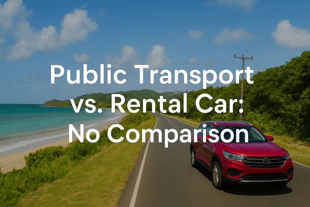 public transport vs rentals