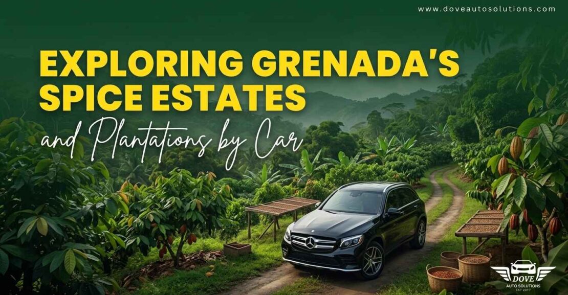Exploring Grenada’s Spice Estates and Plantations by Car through lush tropical landscapes and scenic plantation roads
