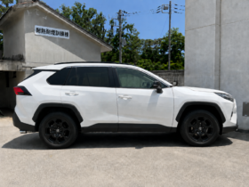 2022 Toyota RAV4 Adventure White For Sale