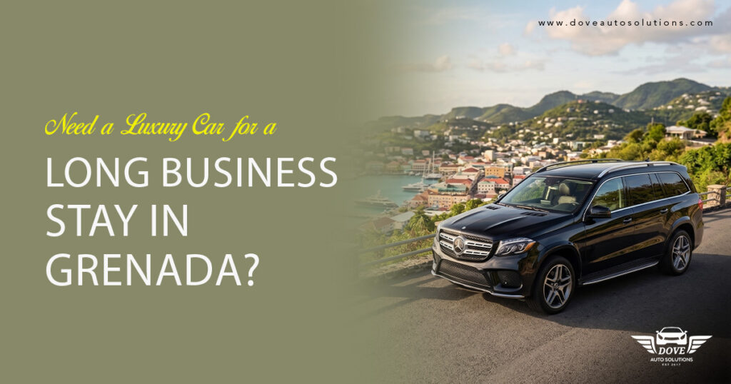 Business-Car-Rental-Grenada