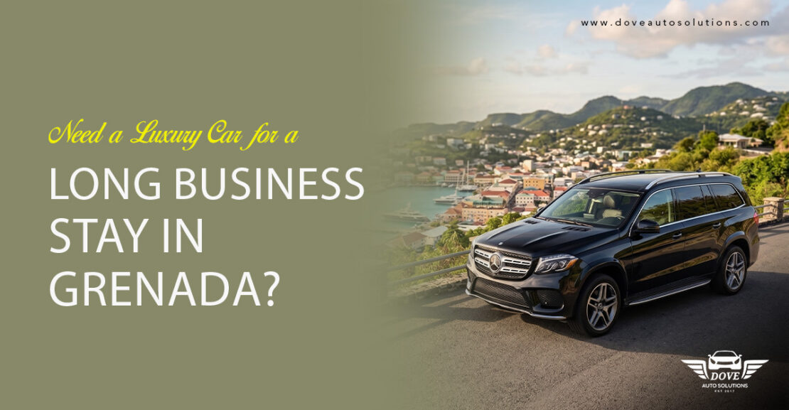 Business-Car-Rental-Grenada