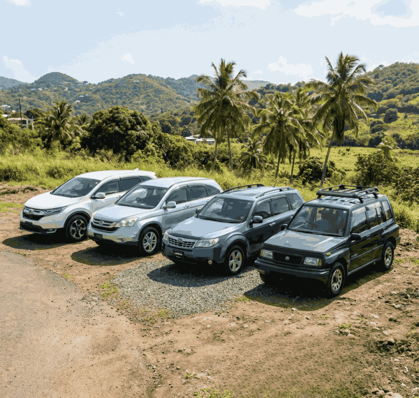 Honda CR-V, Toyota RAV4, Subaru Forester, and Suzuki Escudo parked along a coastal road in Grenada with ocean views, palm trees, and green hills in the background.